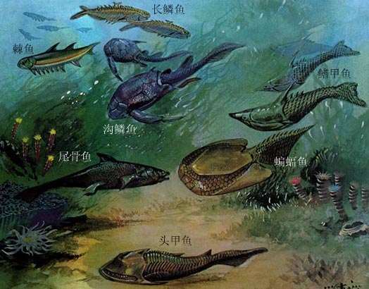史前生物:鱼类时代