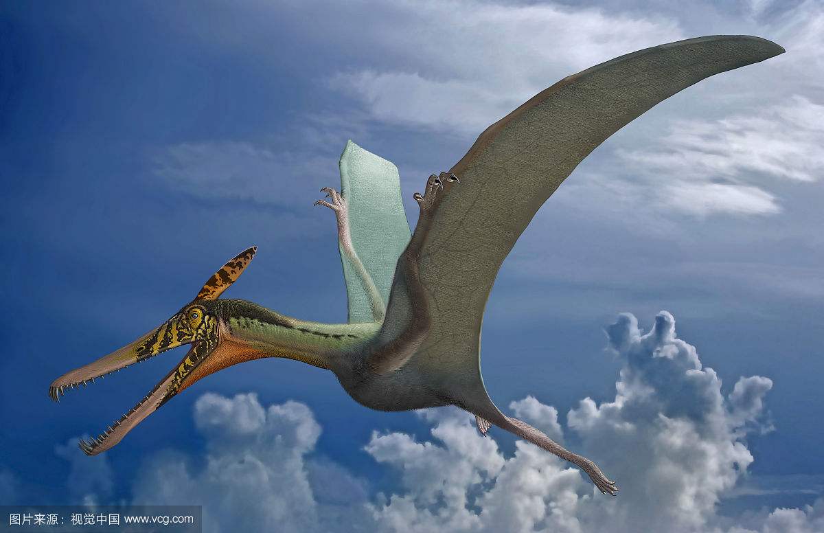 一只带翅膀的恐龙三维立体模型栩栩如生免抠PNG素材
