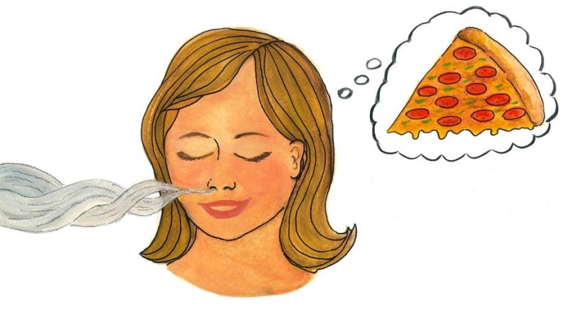嗅觉有助我们了解事物的内容及地点,如美味的食物.r.