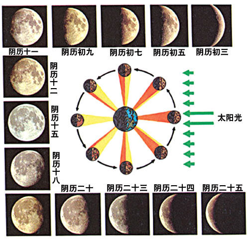阴历月亮的变化图