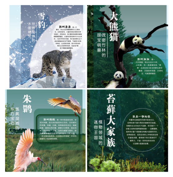 “与自然同行,护万物共生”主题即时展览 “与自然同行,护万物共生”主题即时展览