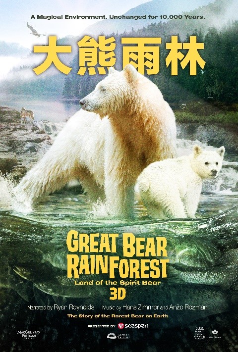 大熊雨林