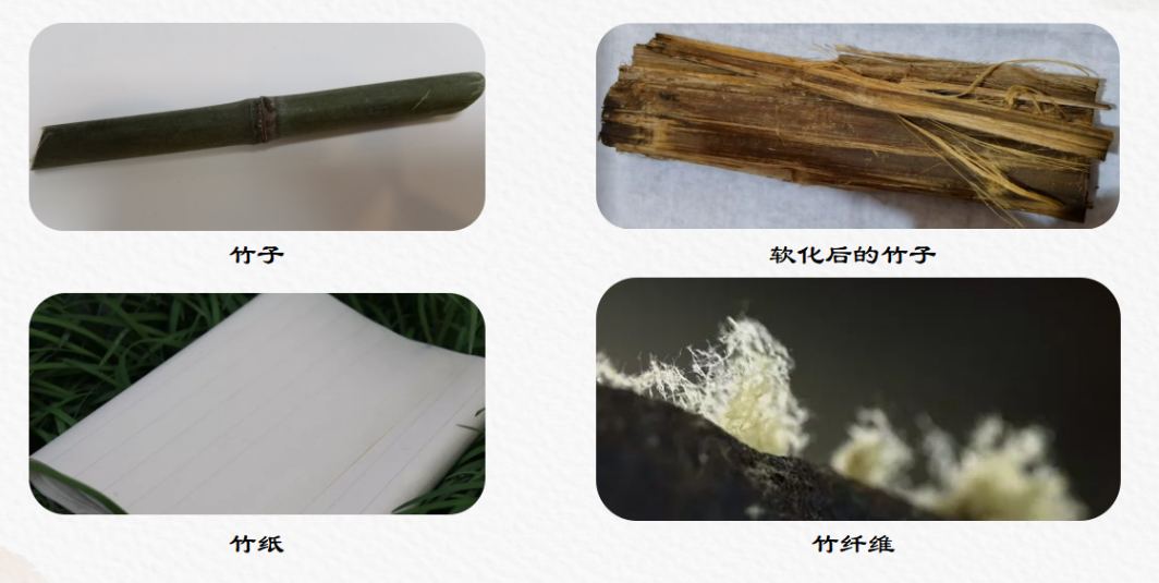 探索从竹子到竹纸的过程,竹纸蕴含的科技原理