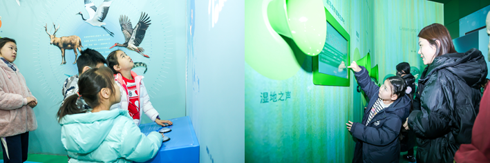 润泽湿地,循环共生,主题展览