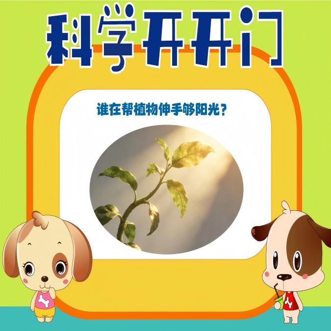 【科学开开门】第487集 谁在帮植物伸“手”够阳光？
