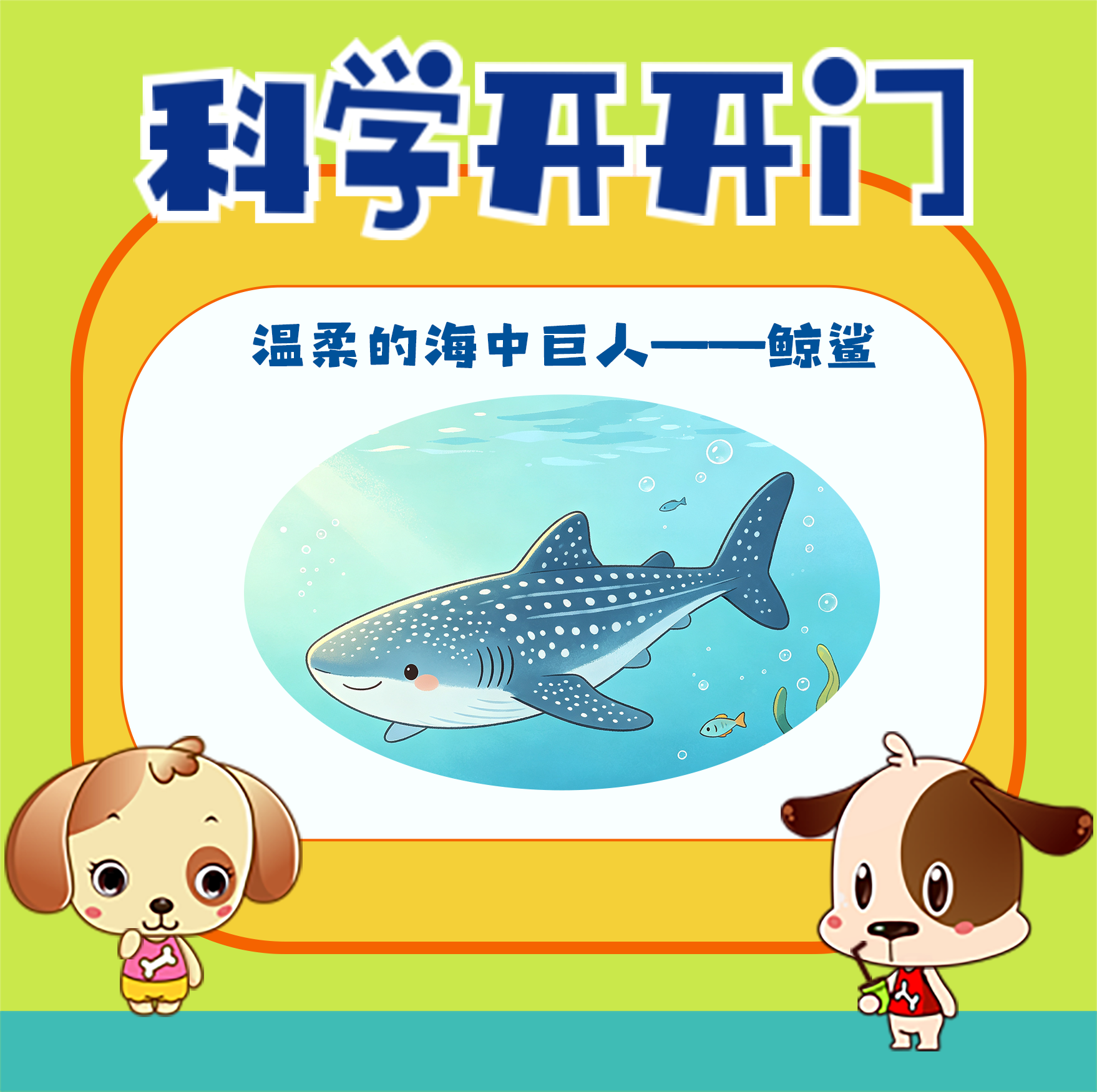 【科学开开门】第497集 温柔的海中巨人——鲸鲨