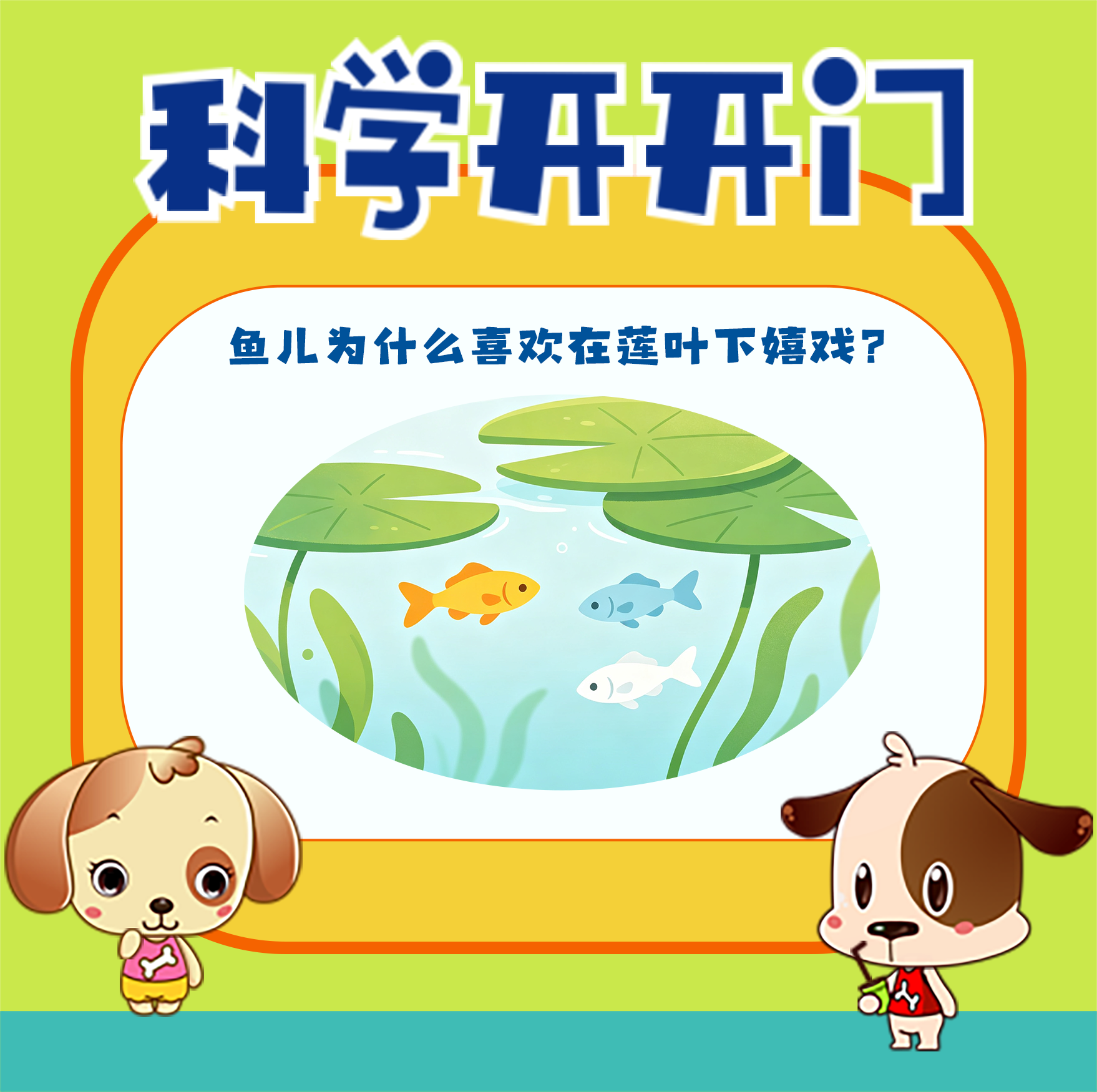 【科学开开门】第500集 古诗词中的科学：鱼儿为什么喜欢在莲叶下嬉戏？