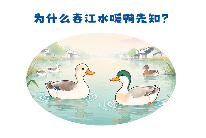 第503集 古诗词中的科学：为什么春江水暖鸭先知？
