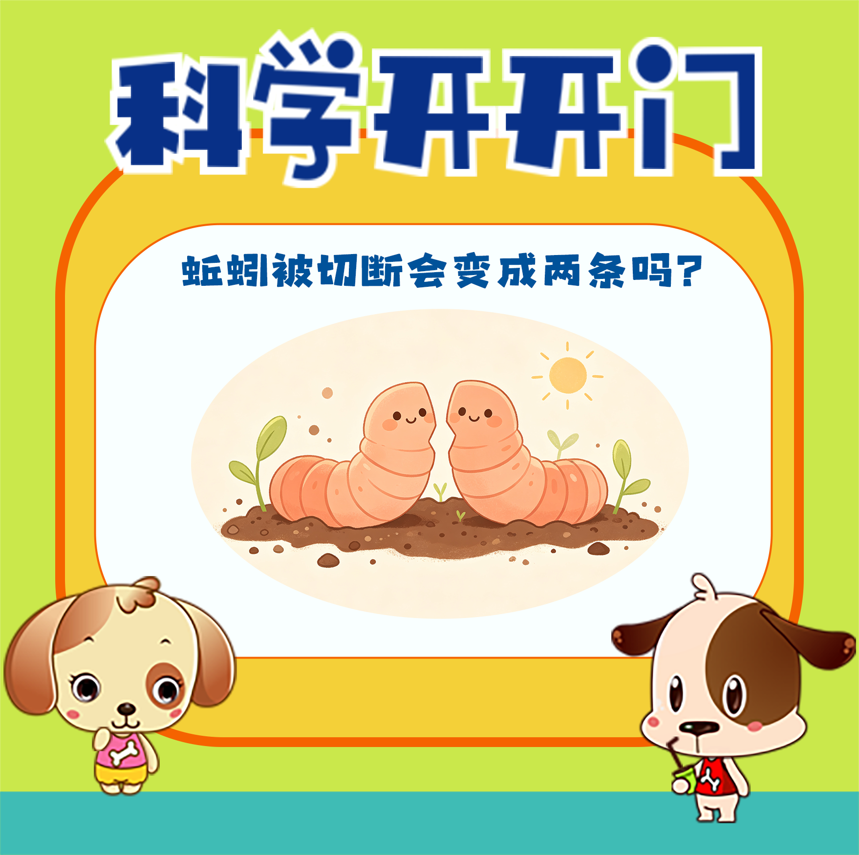 【科学开开门】第499集 蚯蚓被切断会变成两条吗？