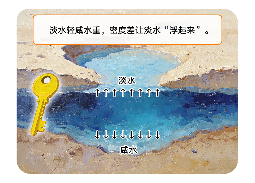 素材12