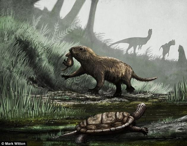 　　最新研究发现非飞行恐龙灭绝之后，哺乳动物才开始在白天活跃。该项研究为历史上动物行为变化提供了重要线索。图中是艺术家描绘中生代动物生活情景。