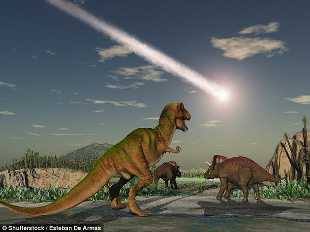 该研究结果有助于“夜间瓶颈理论”的发展，“夜间瓶颈理论”表明，早期哺乳动物必须到夜晚才能活动，这样避免与白天活跃的恐龙物种发生冲突。
