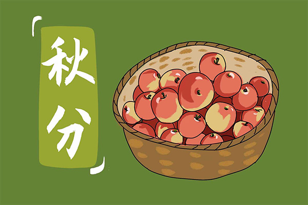 秋分;嘎嘣脆;苹果 秋分;嘎嘣脆;苹果