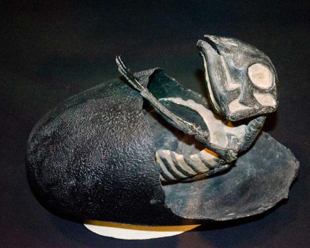 还原一个真实的恐龙时代