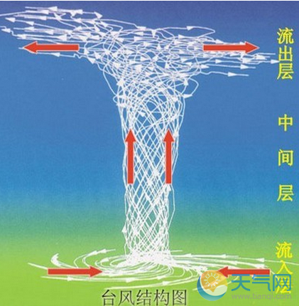 台风垂直分布图