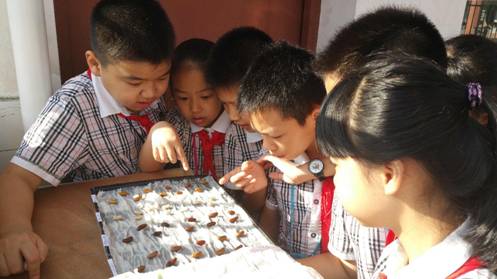 大疆、柴火、优必选,这些科技企业到广西干嘛