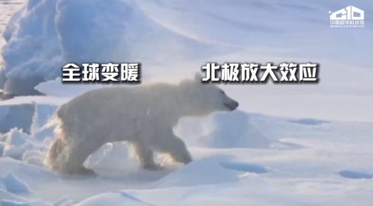 北极圈惊现32度高温，谁让北极发烧了？