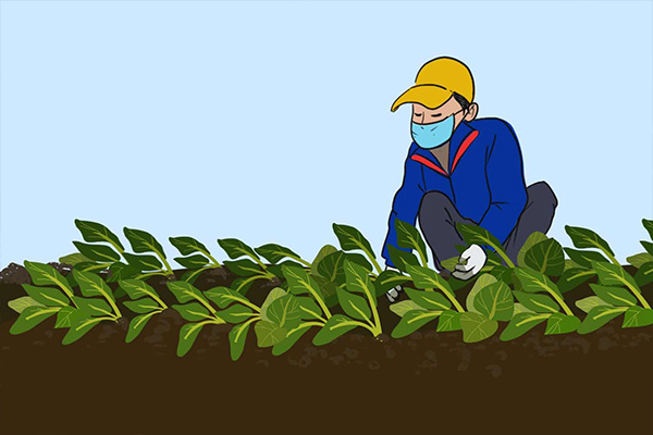 立冬;24节气;民俗;冬季 立冬;24节气;民俗;冬季