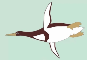 巨型古代企鹅:身高达一米八