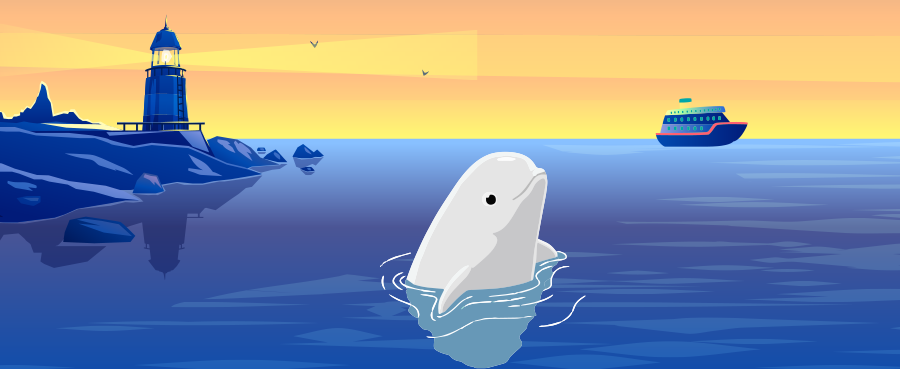 网红白鲸,白鲸长啥样儿,白鲸的生活