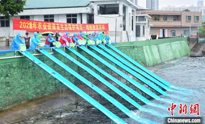 增殖放流,什么是增殖放流,惠州大亚湾海域增殖放流活动
