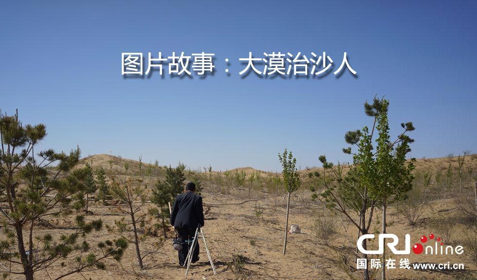 图片故事：大漠治沙人