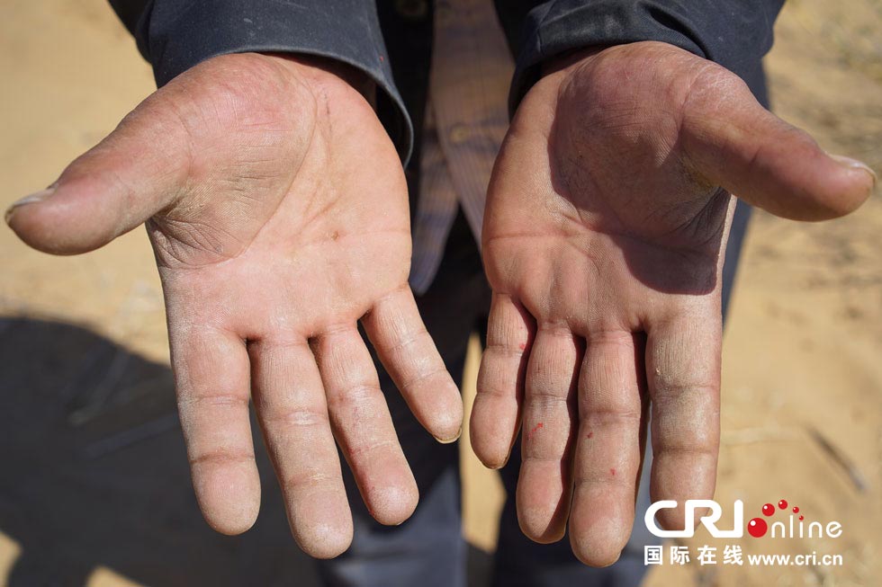 图片故事：大漠治沙人