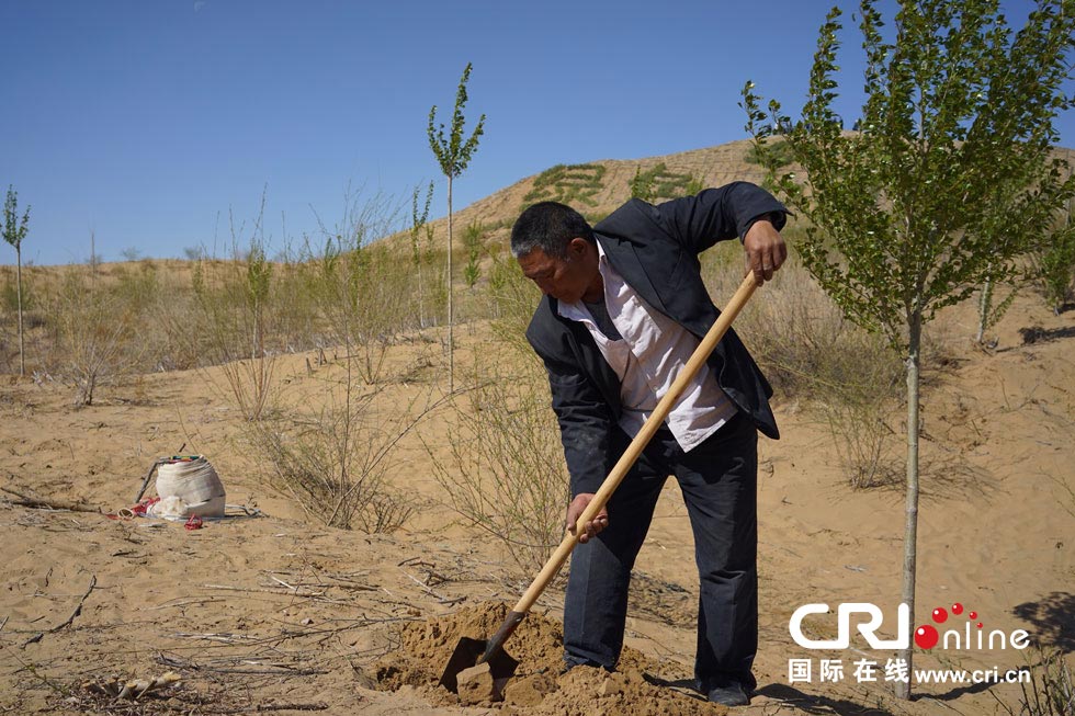 图片故事：大漠治沙人