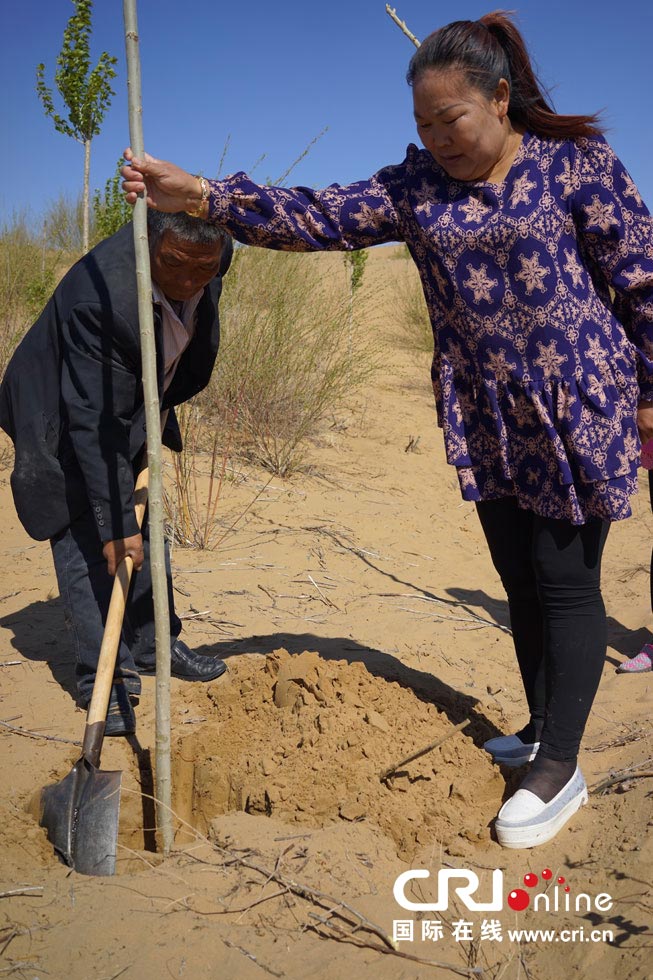 图片故事：大漠治沙人