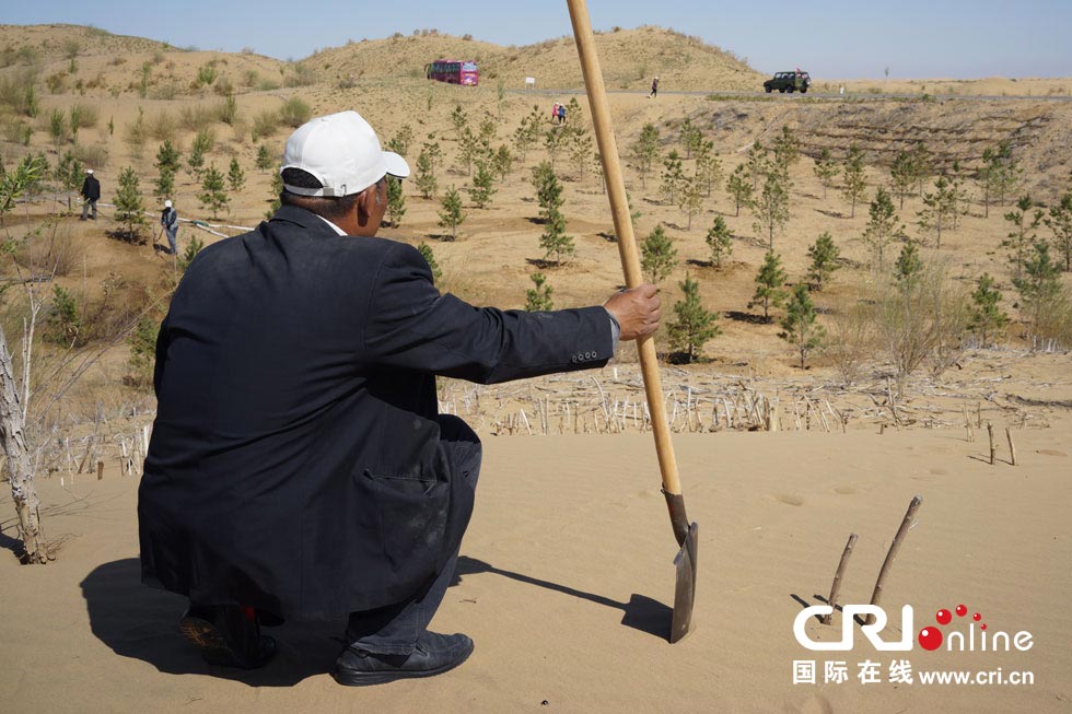 图片故事：大漠治沙人