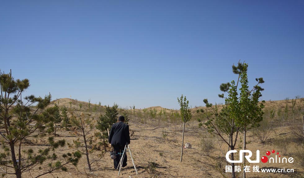 图片故事：大漠治沙人