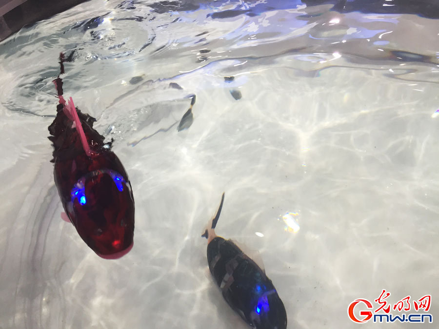 2016世界机器人博览会：总有一款是你的菜