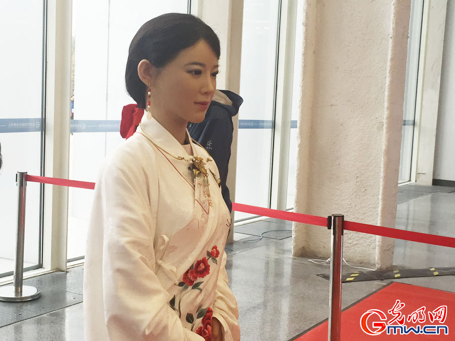 2016世界机器人博览会：总有一款是你的菜