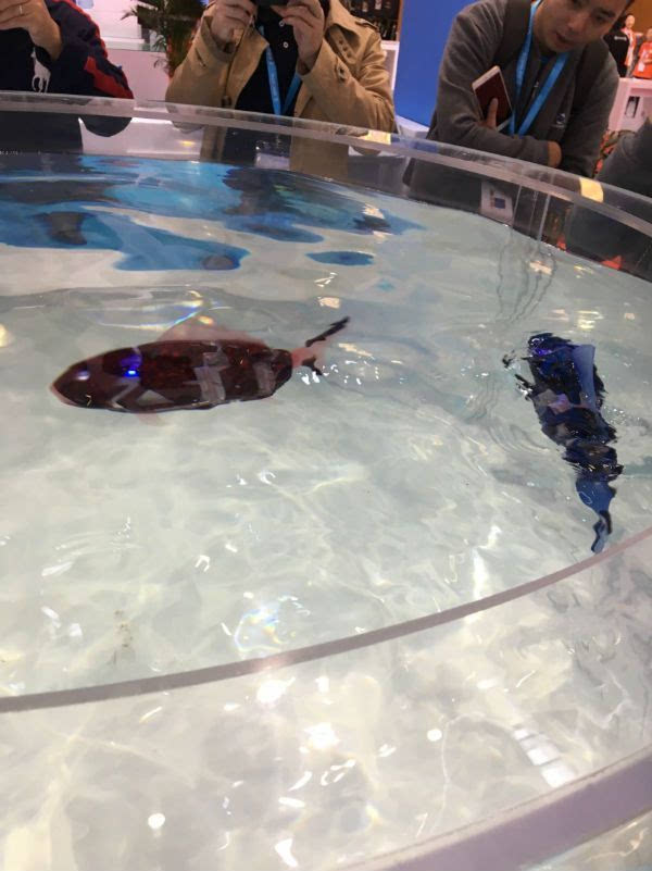 机器人军团“进京赶考” 科技创新齐看WRC2016