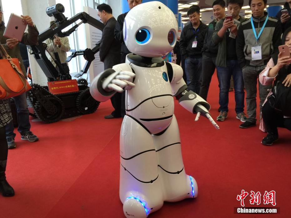 “天价鱼”亮相世界机器人大会 不能吃还十几万元一条