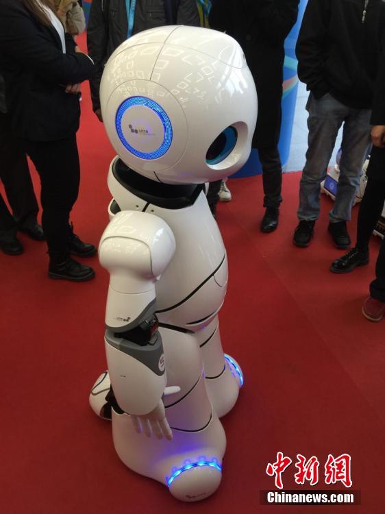 “天价鱼”亮相世界机器人大会 不能吃还十几万元一条