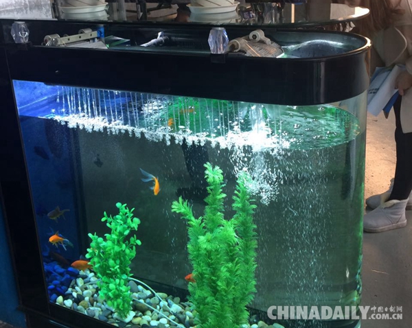 【治霾京津冀在行动】走进河北钢铁企业——全封闭料场告别“尘土飞扬”