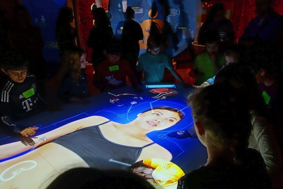 microbiome-interactive.jpeg microbiome-interactive.jpeg