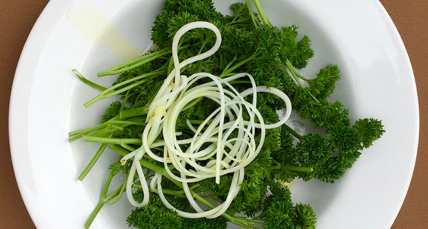 Olive oil untangles plastic.jpg Olive oil untangles plastic.jpg