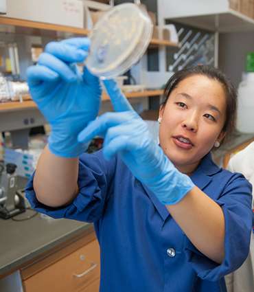 newstructure.jpg newstructure.jpg