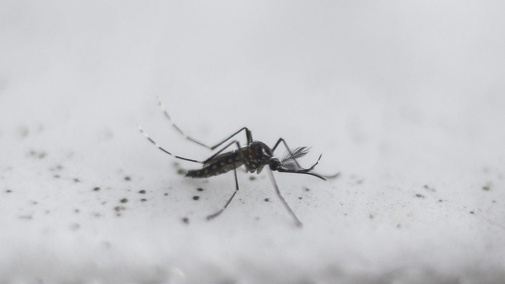 GettyImages-618402148-1024x576.jpg GettyImages-618402148-1024x576.jpg