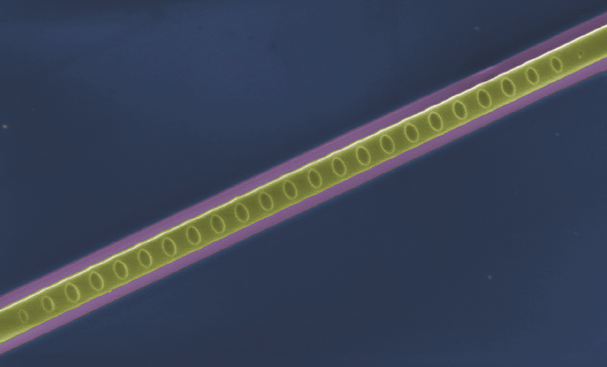 混合两种纳米材料制造光子电路新架构