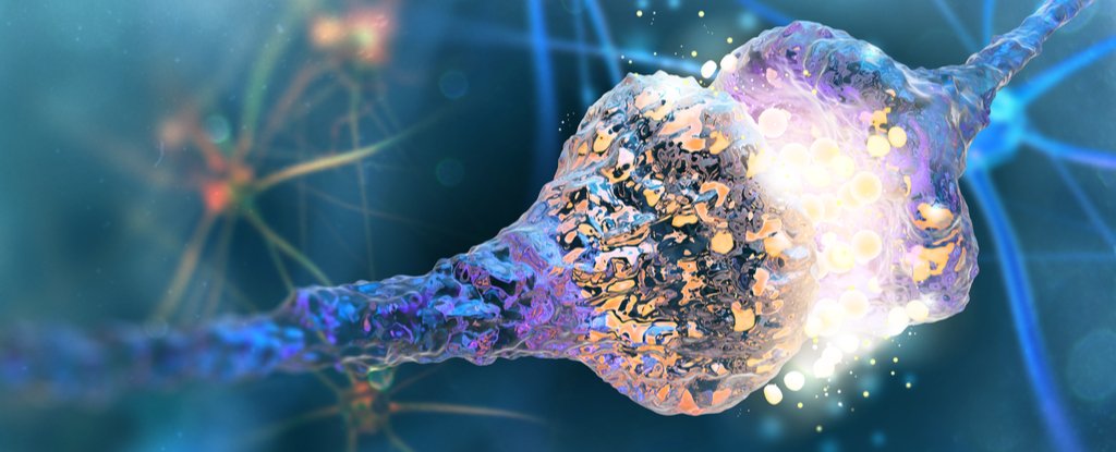 用碳纳米管连接神经元,有望修复受损脊髓