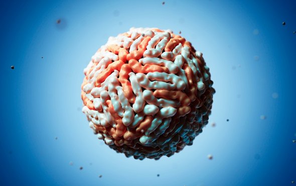 关于登革热有一种反直觉并引发激烈争论的理论:由初次感染登革热病毒