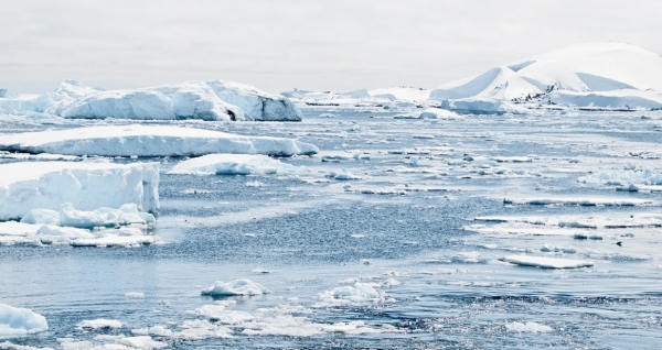 南极,海冰,融化