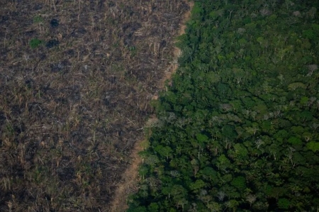 亚马逊雨林,砍伐,鸟瞰图