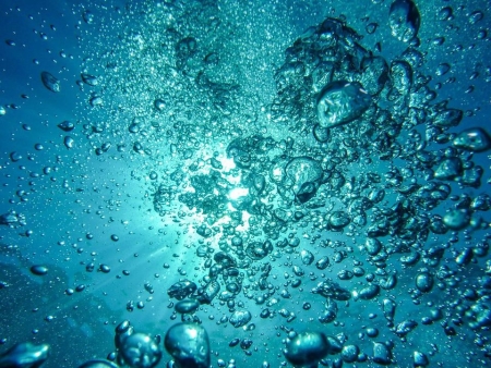 海洋,碳循环,气泡