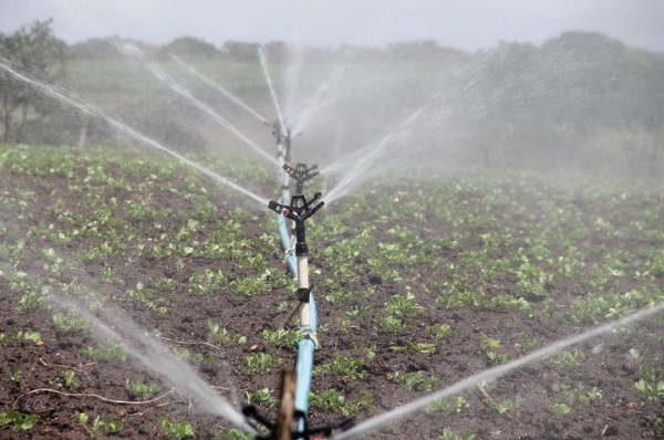 农业灌溉,土壤,干燥或湿润