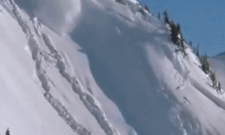 科学放大镜;大赛;一等奖;实验 科学放大镜;大赛;一等奖;实验