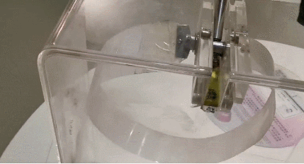 数学;支配;恐惧 数学;支配;恐惧